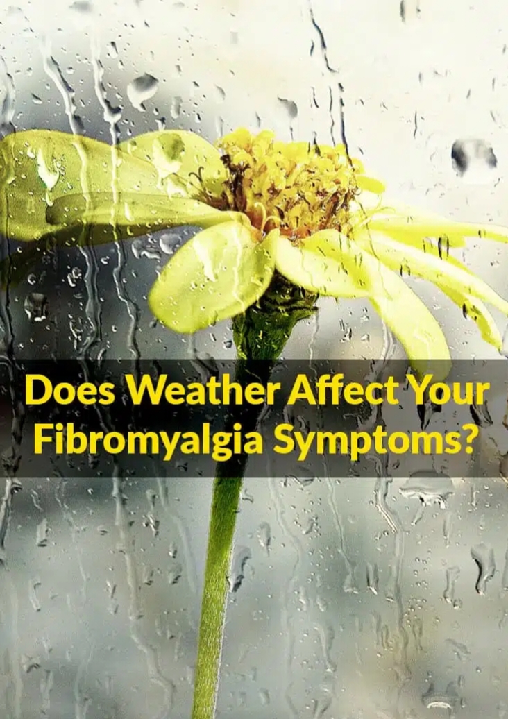 Does Weather Affect Your Fibromyalgia Symptoms?