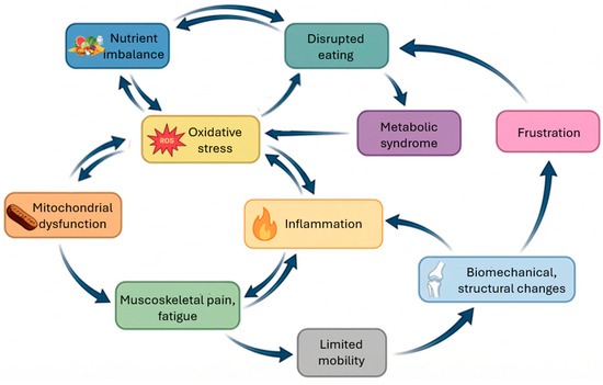 Antibiotic treatment and Fibromyalgia-like symptoms development: only a coincidence?