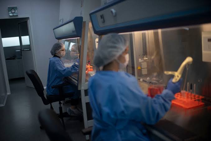 Daily briefing: Fibromyalgia eases after doses of gut microbes