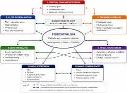 The Gür fibromyalgia model: a clinically operational framework for phenotype-informed, sequence-sensitive multimodal care
