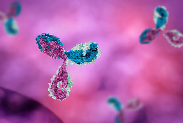 New study shows Fibromyalgia likely the result of autoimmune problems